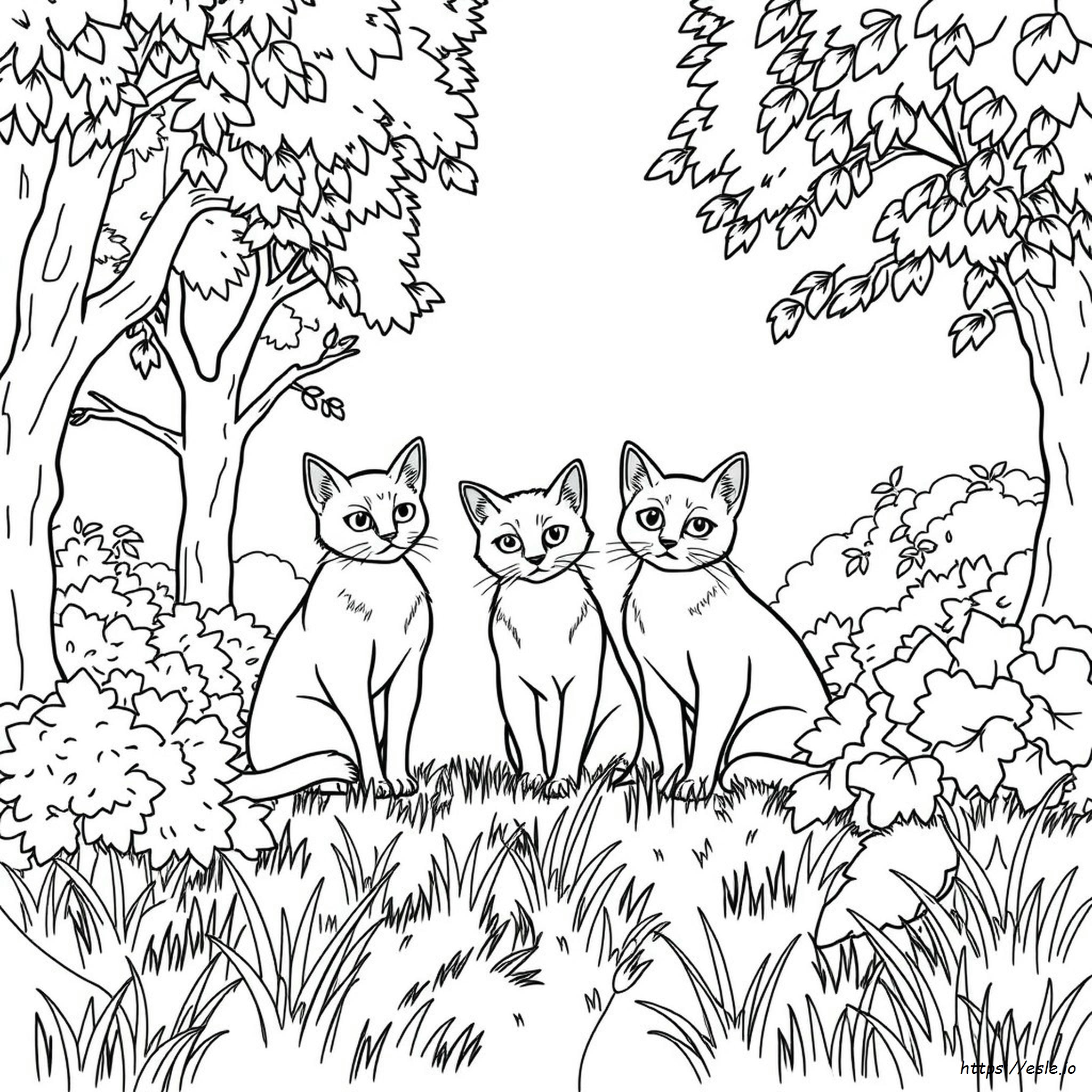 Gatti Guerrieri: Libro Da Colorare