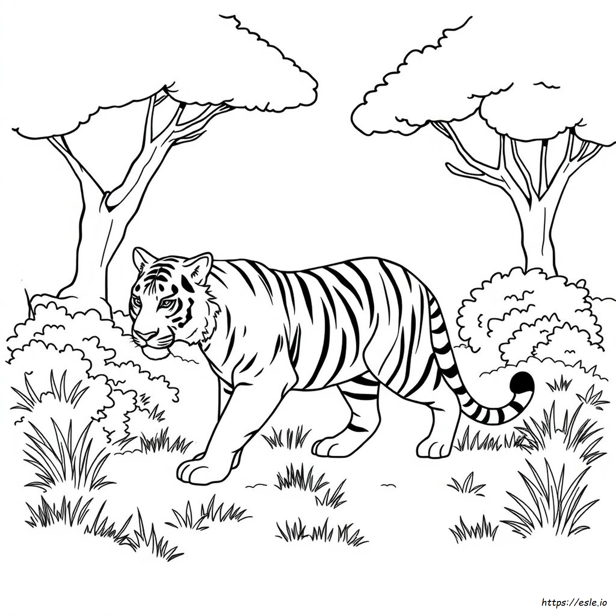 Tiger Outline For Colouring
