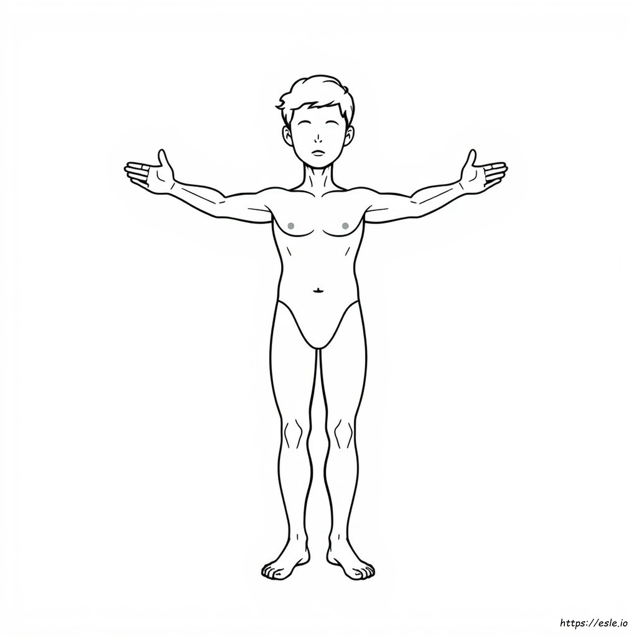 Human Body Coloring Pages To Print