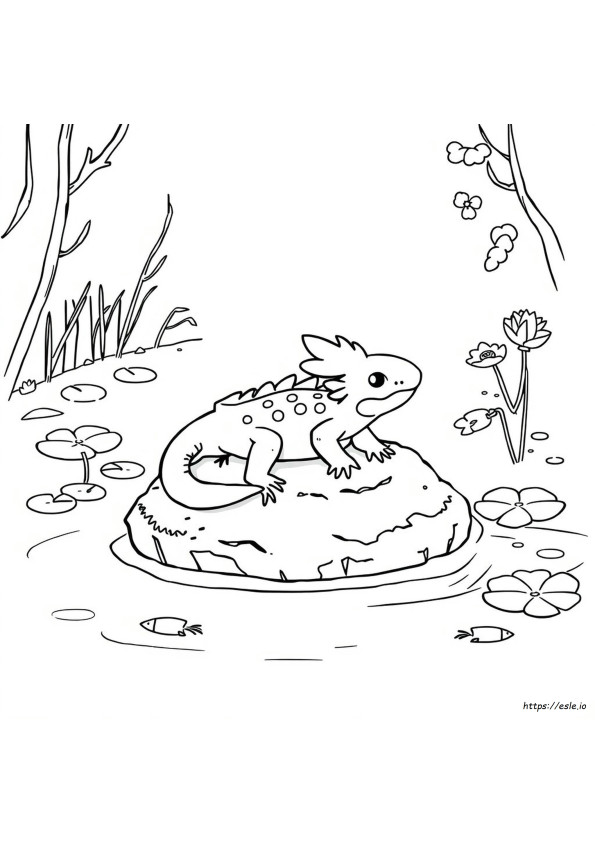 Schattige Axolotl Dieren Kleurplaat