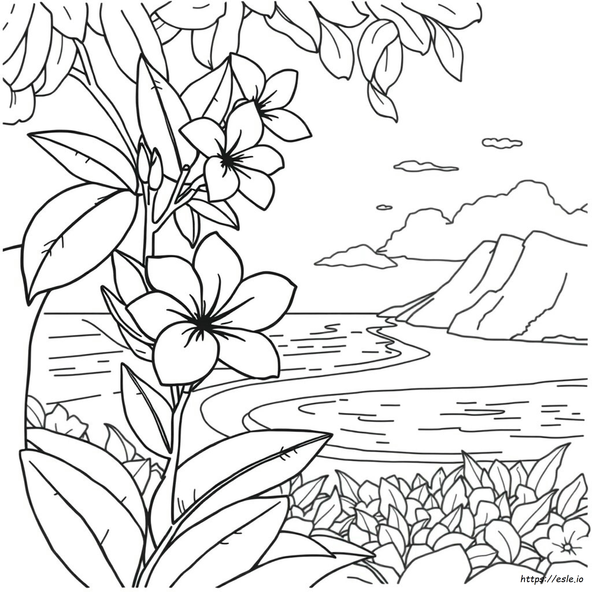 Fiore Simbolo Delle Hawaii Da Colorare