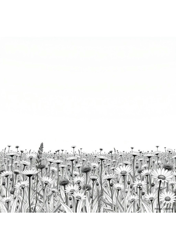 Foto In Disegno Da Colorare Gratis