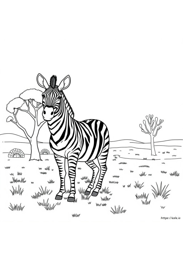 Gambar Mewarnai Zebra