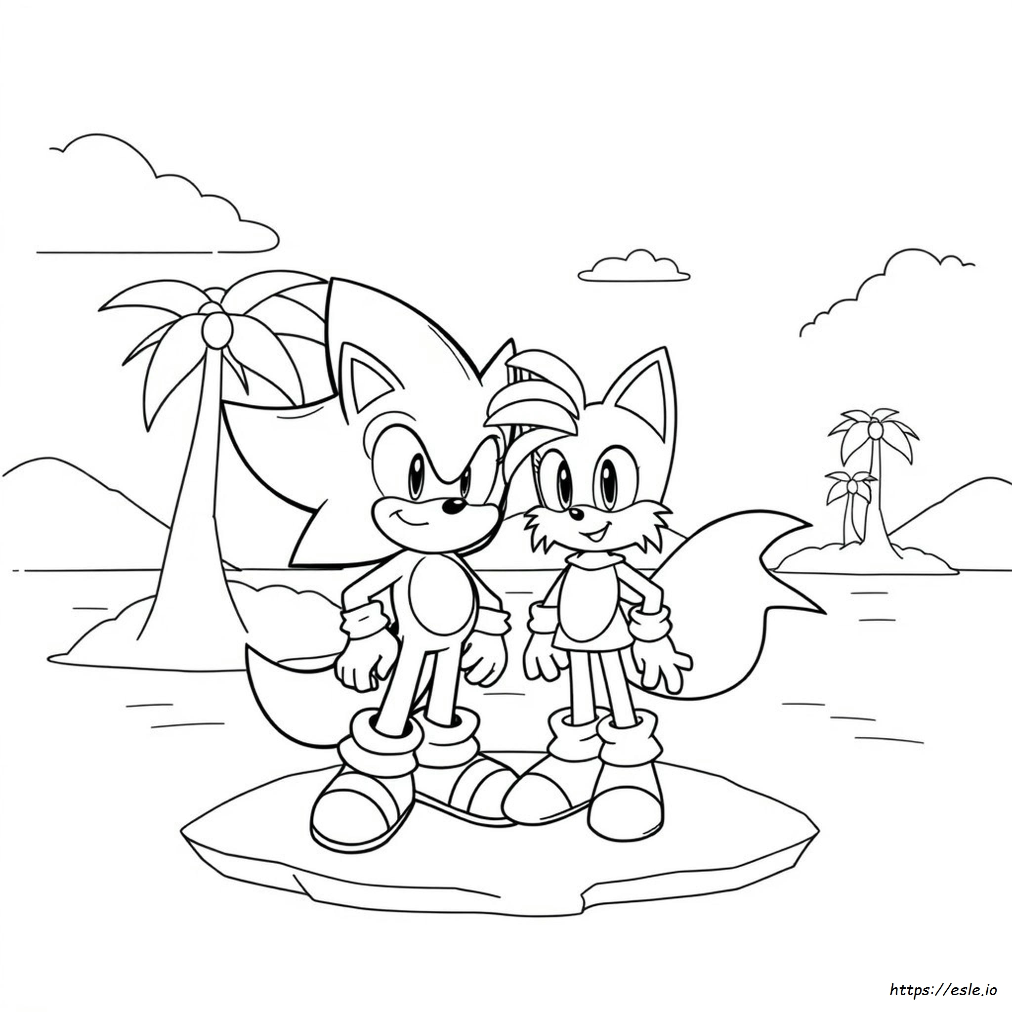 Sonic Und Amy Ausmalbilder Zum Ausmalen