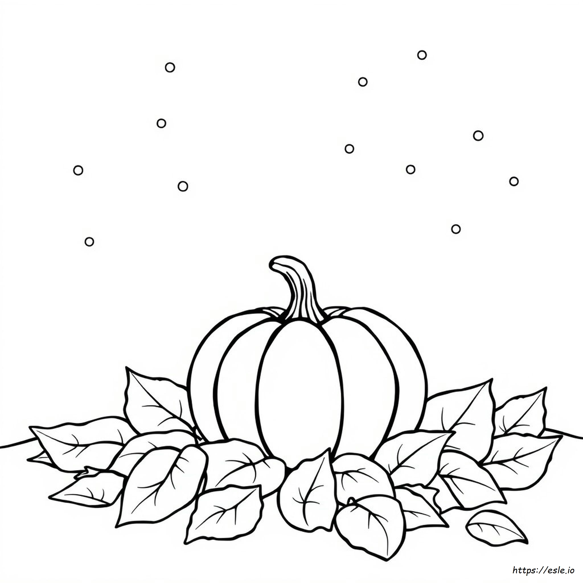 Pumpkin Coloring Pages Free