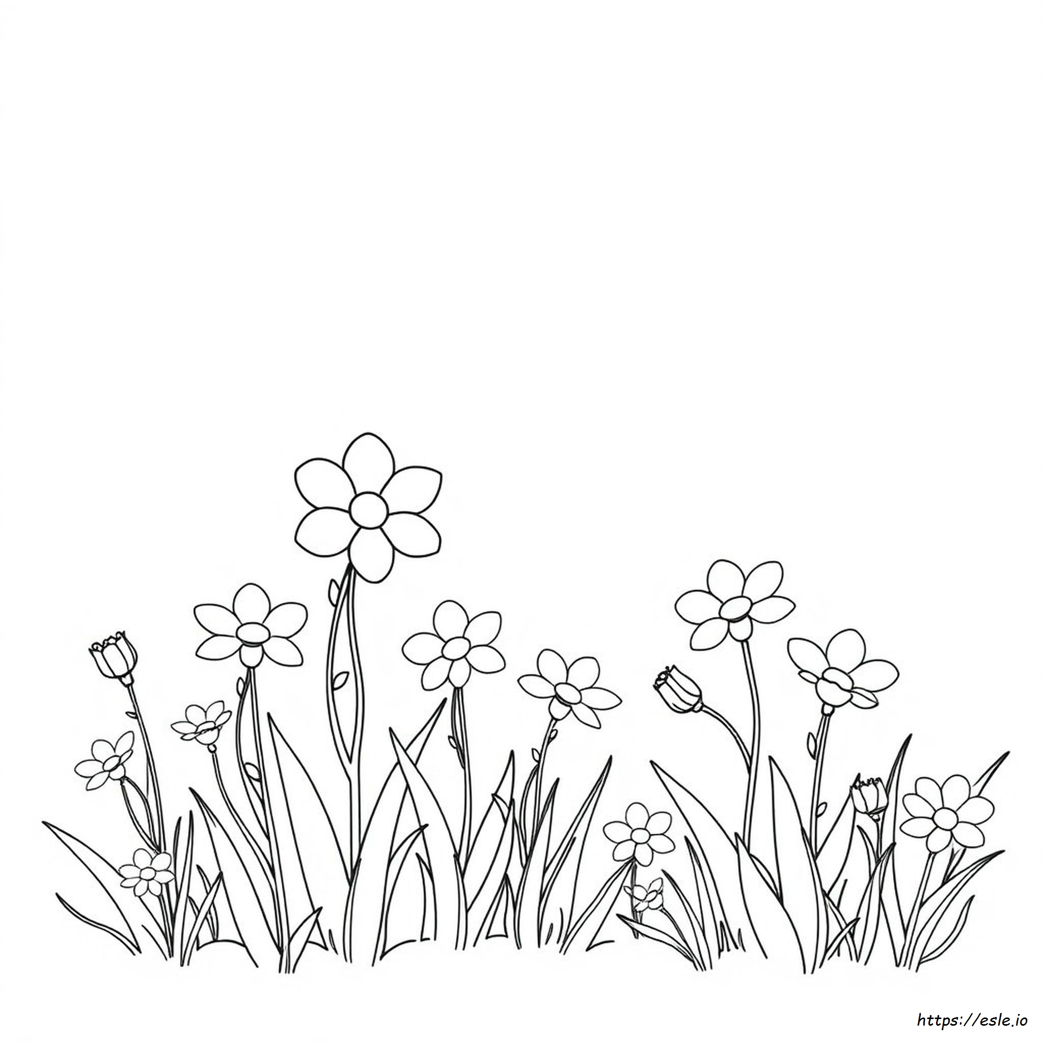 Spring Weather Coloring Pages
