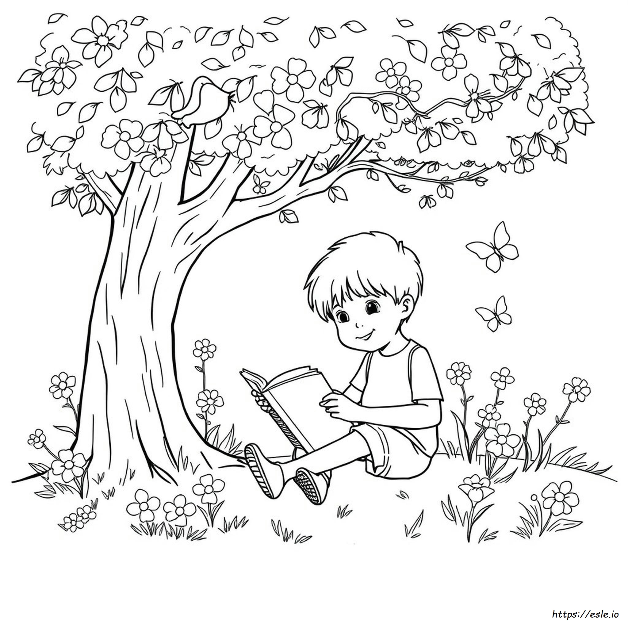Páginas Para Colorear De Lectura De Verano