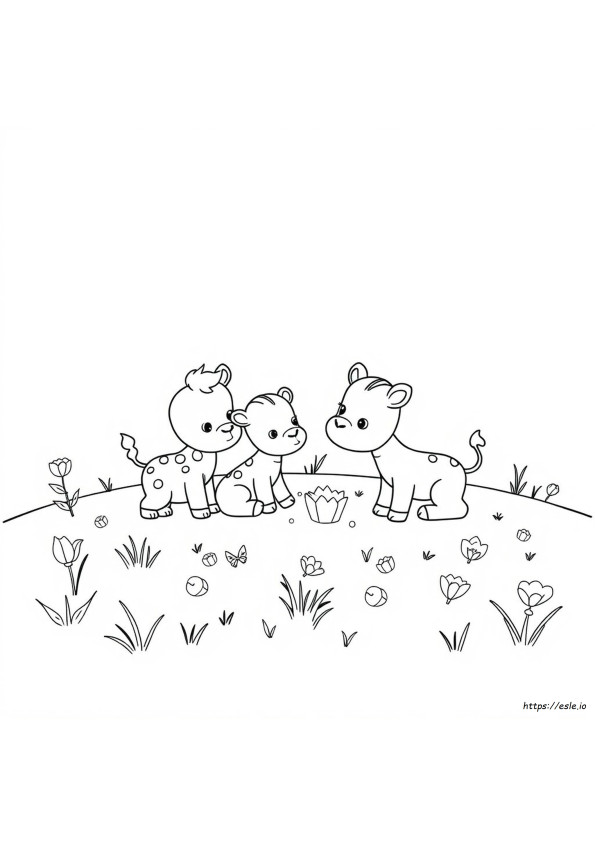 Coloriage Bébé Animaux Gratuit