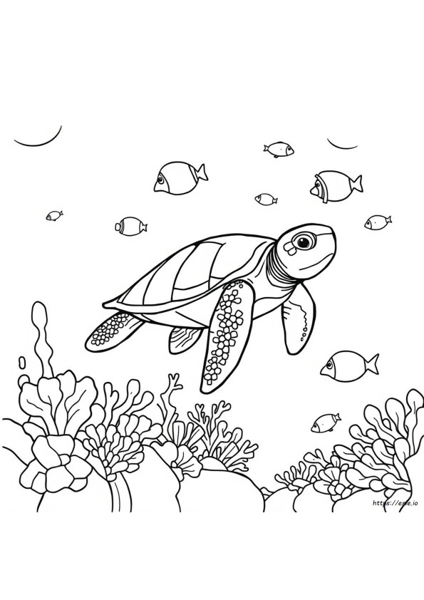 Sea Animal Coloring Pictures