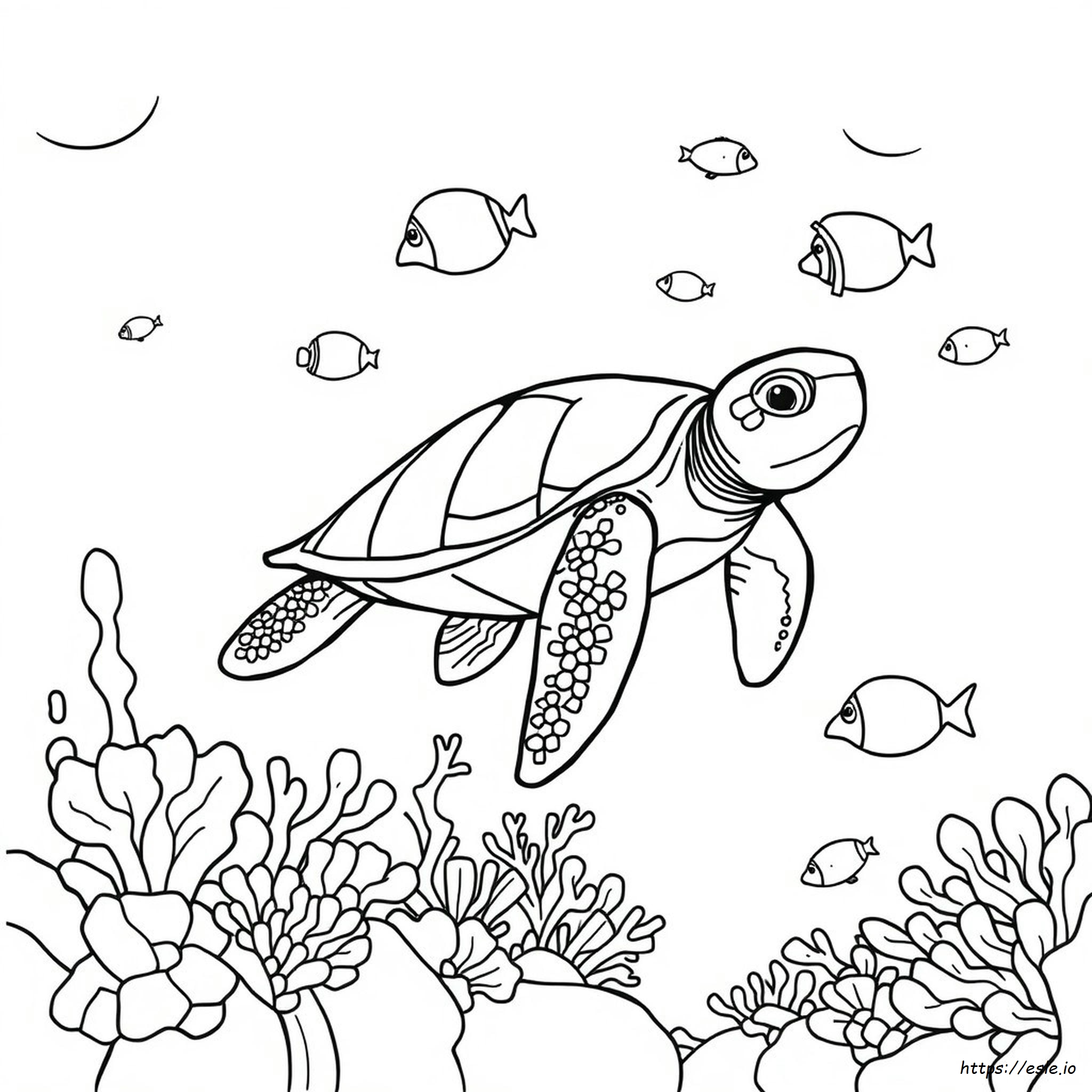 Animali Marini Da Colorare