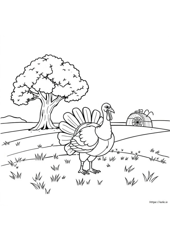 Turkey Coloring Pages Pdf