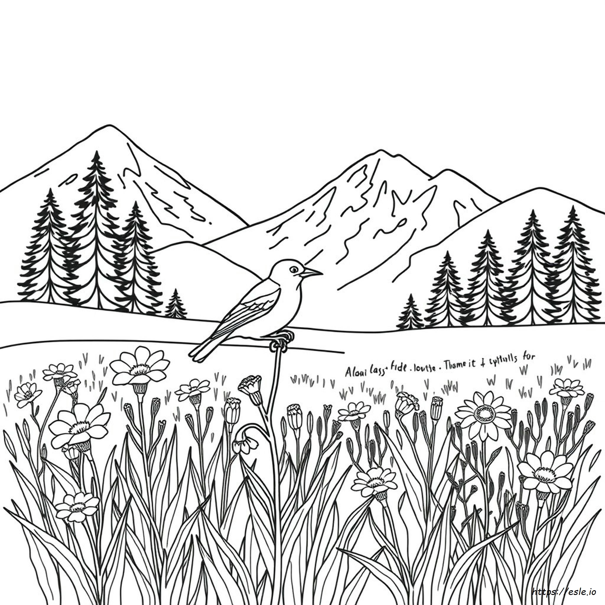 Alaska State Bird Coloring Page