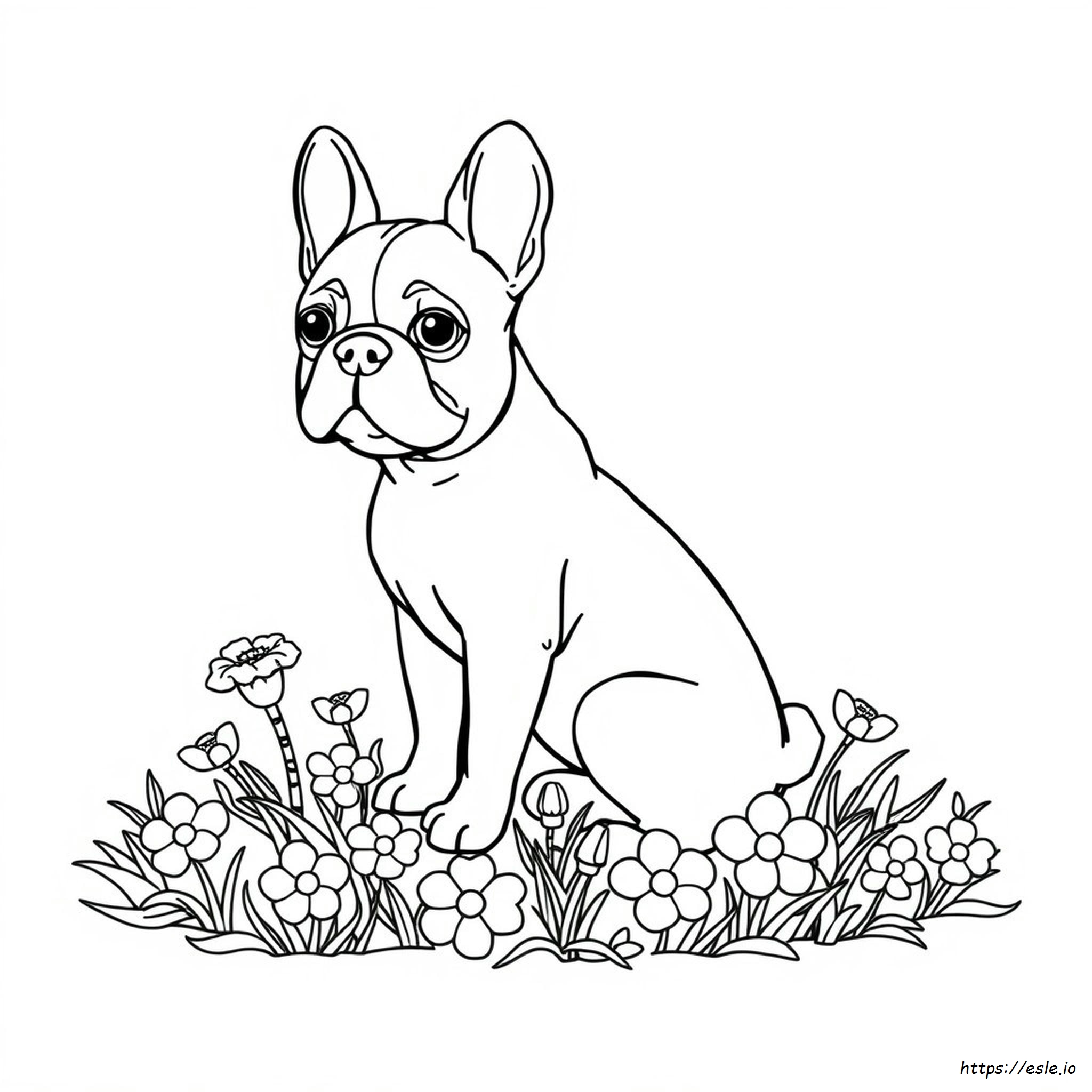 Lindo Bulldog Francés Para Colorear
