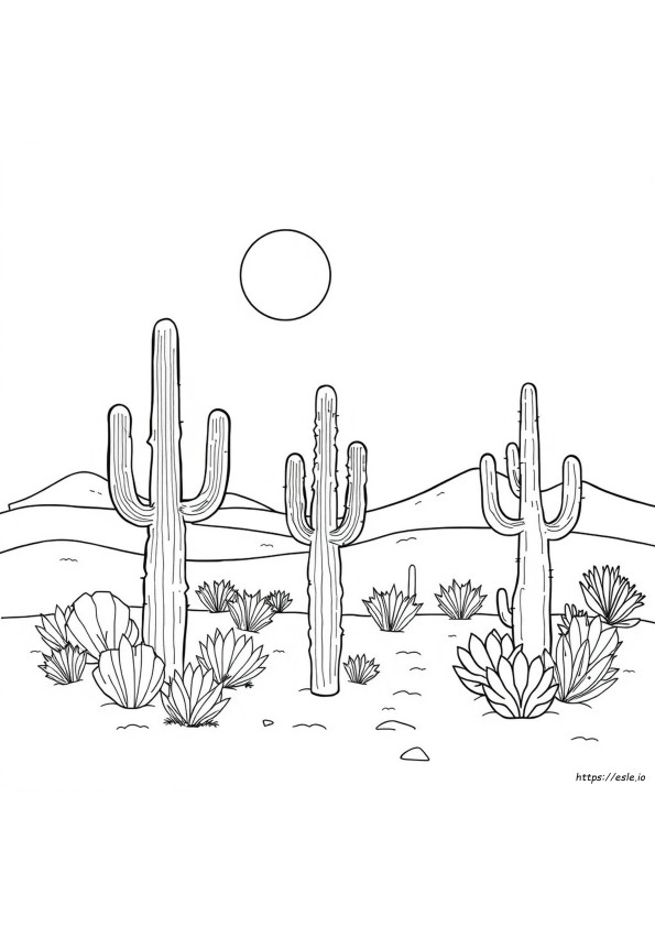 Arizona Woestijn Kleurplaten