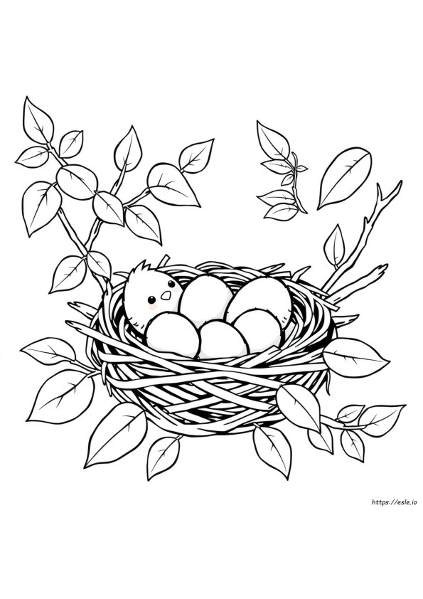 Coloriage Nid