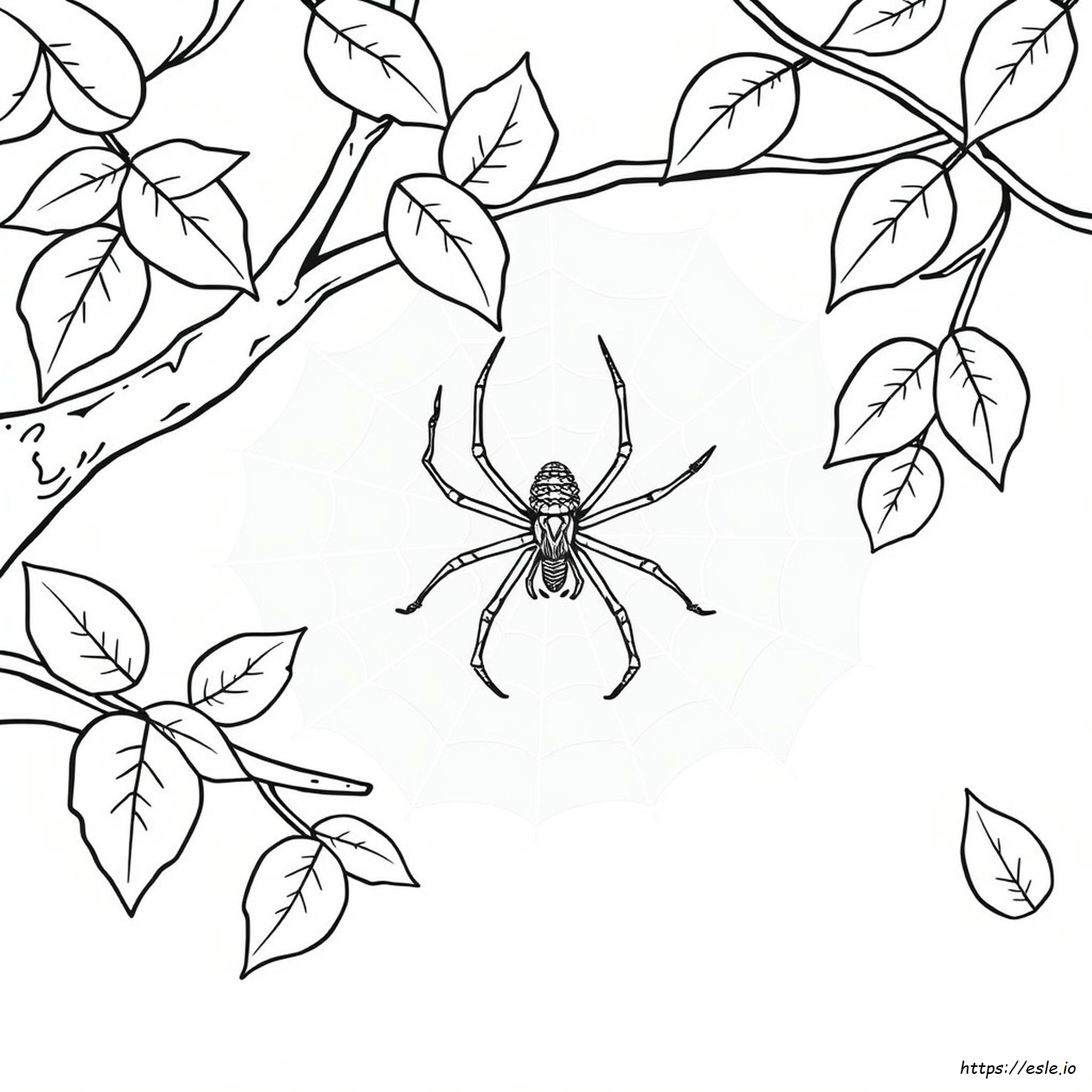 Easy Black Widow Coloring Pages