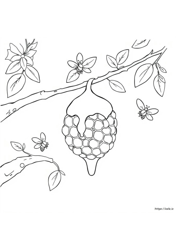 Miel Para Colorear