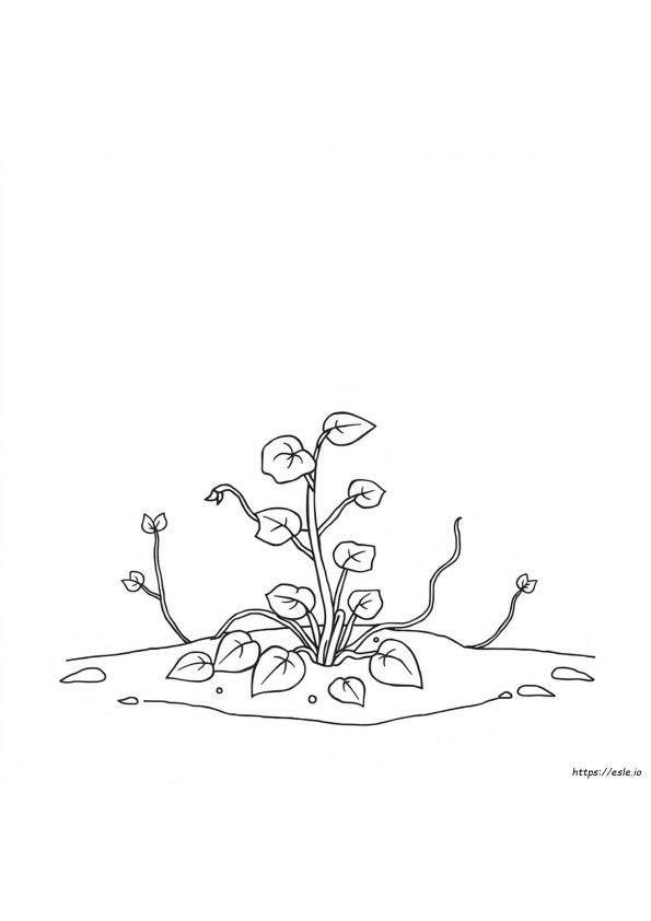 Coloriages Choses Vertes À Imprimer