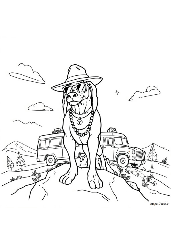 Dibujos Para Colorear De Fortnite Snoop Dogg