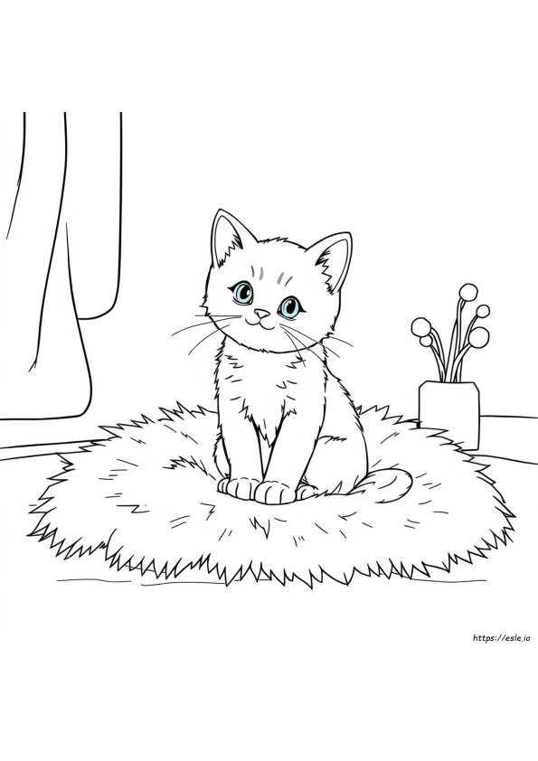Kitty Colouring