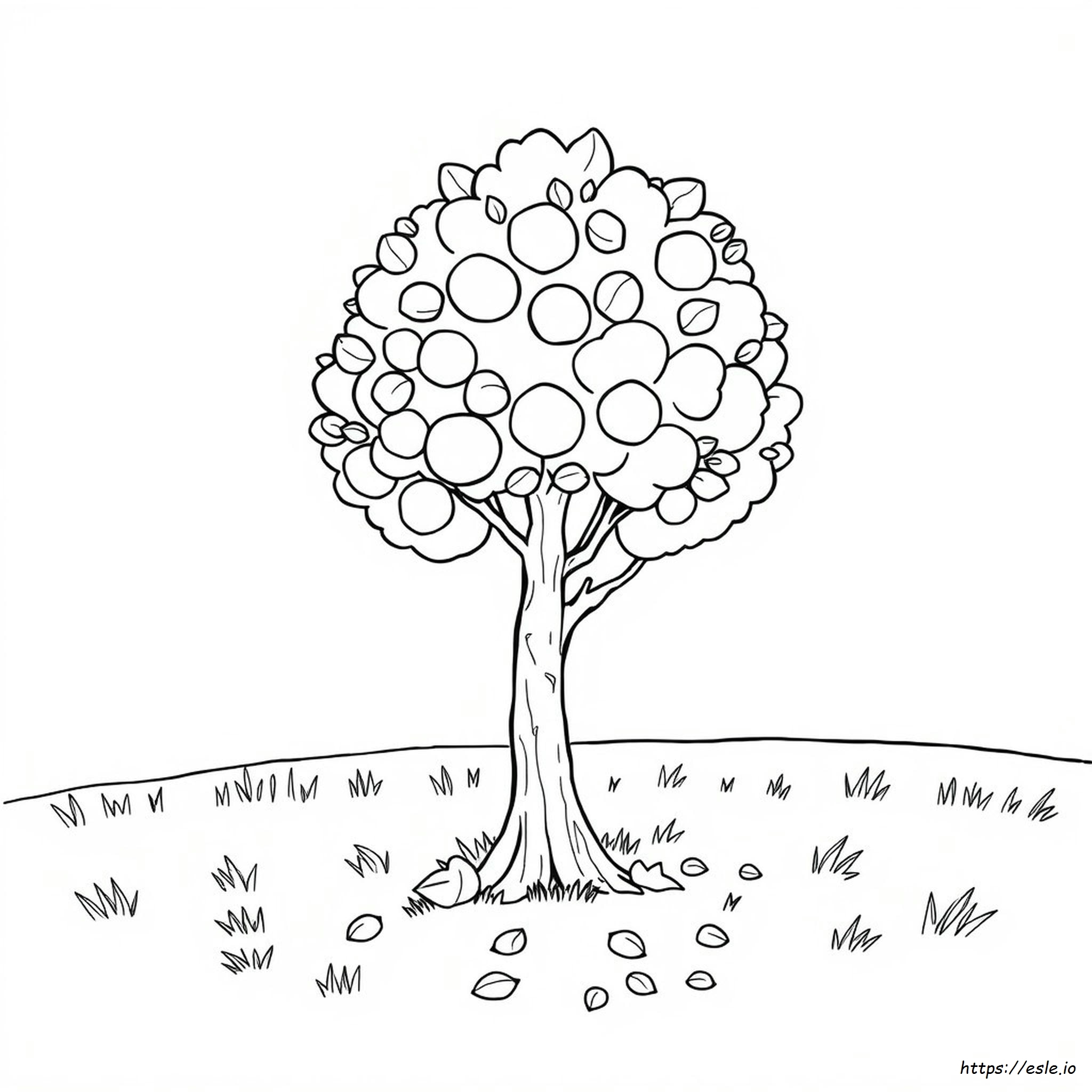 Buckeye Tree Coloring Page