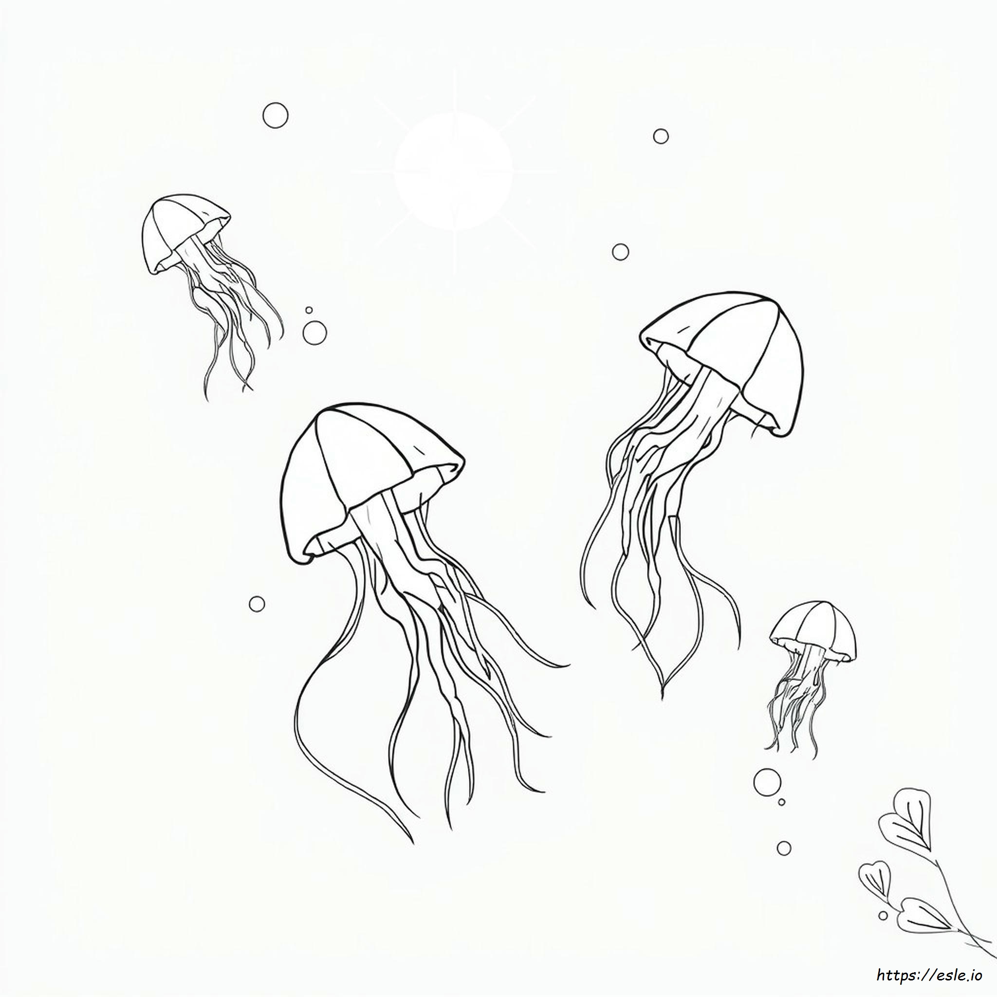Jelly Fish Colouring Images