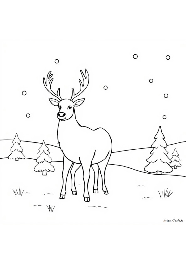 Reindeer Colouring Sheet