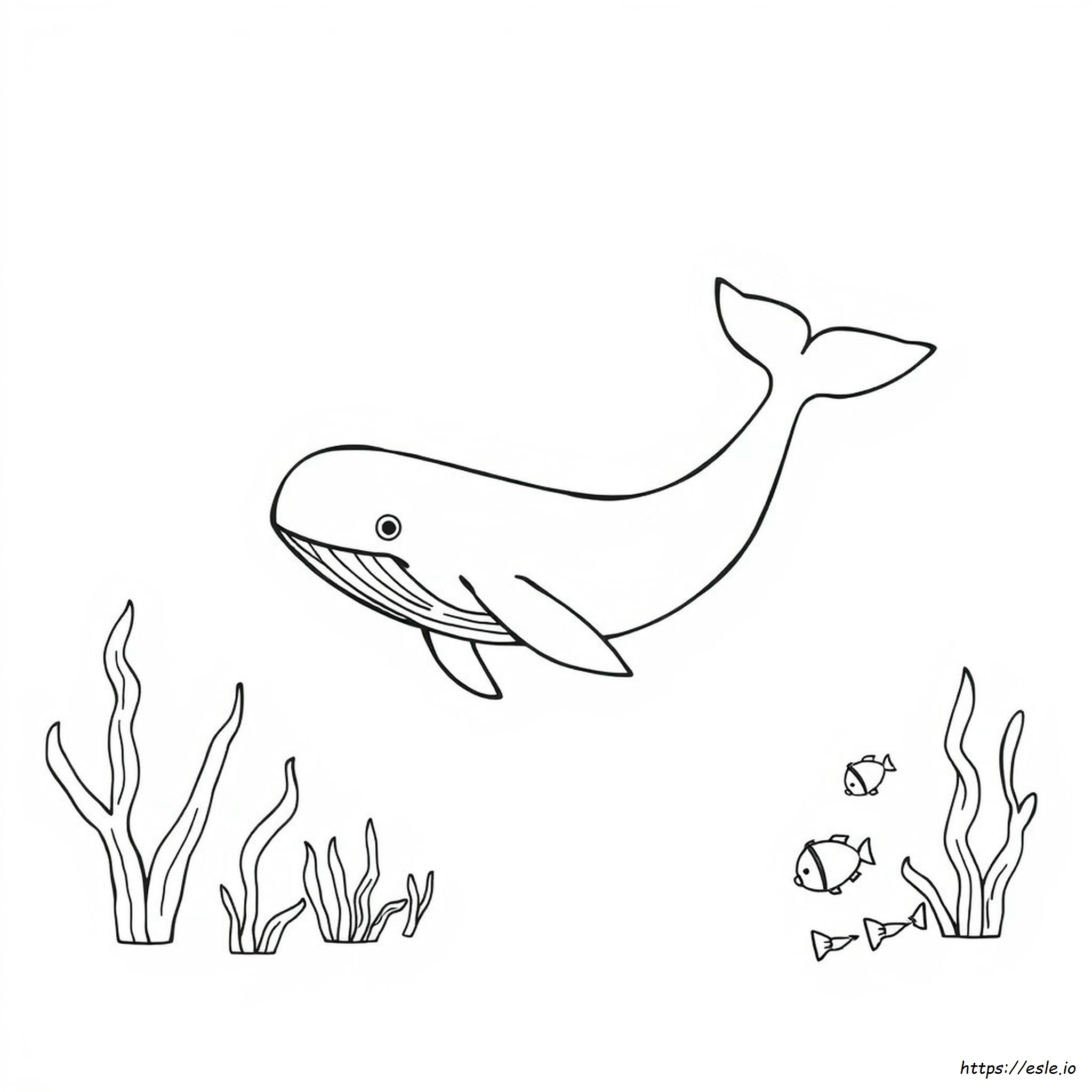 Colouring Picture Of Whale