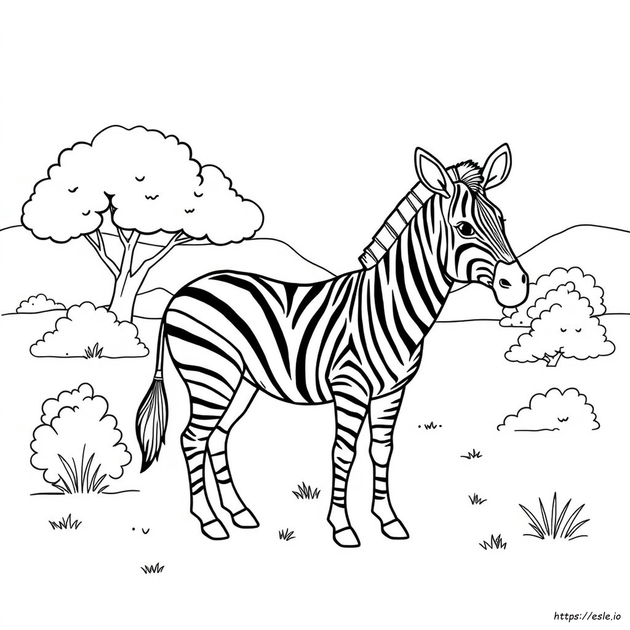 Z For Zebra Coloring Page
