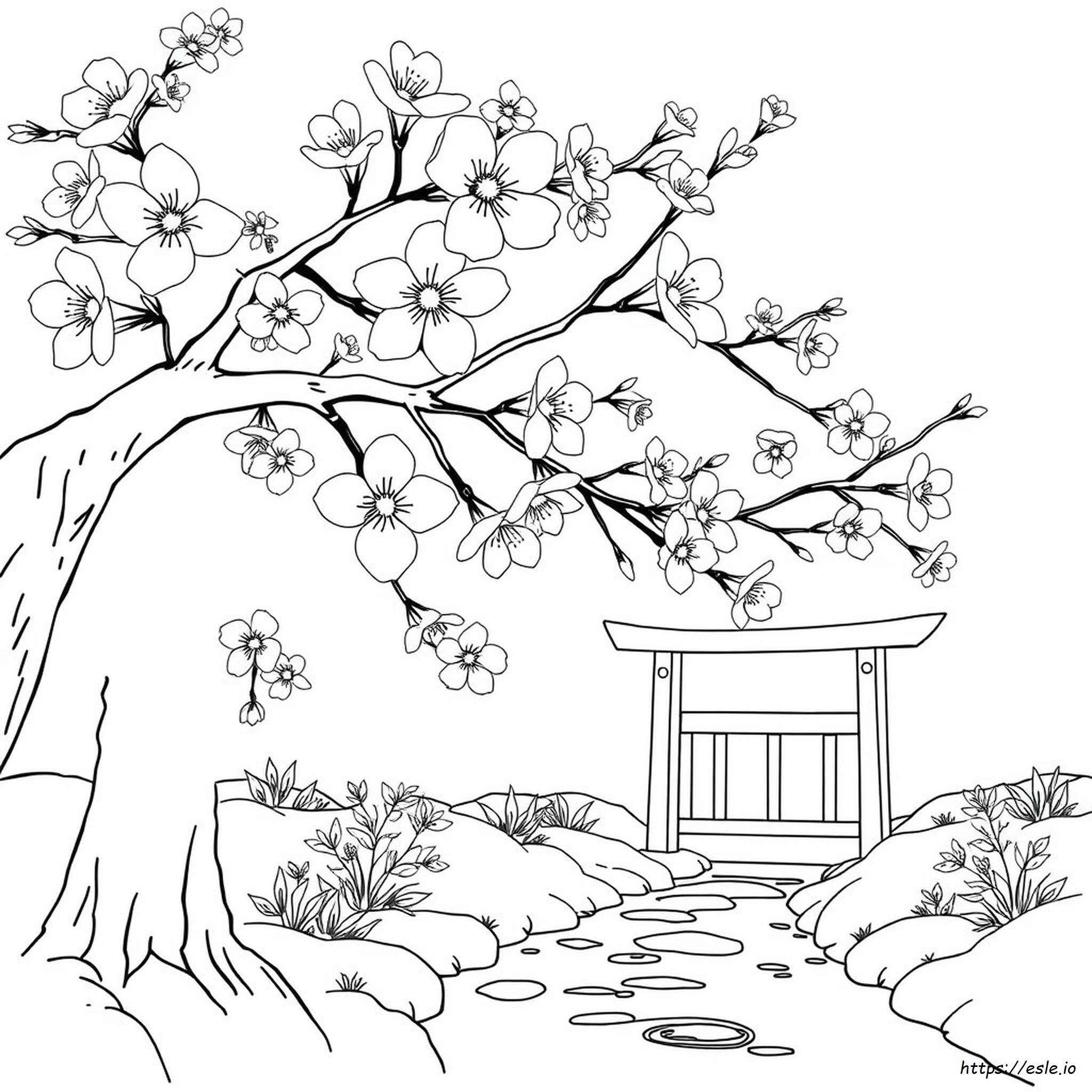 Japanese Cherry Blossom Coloring Pages