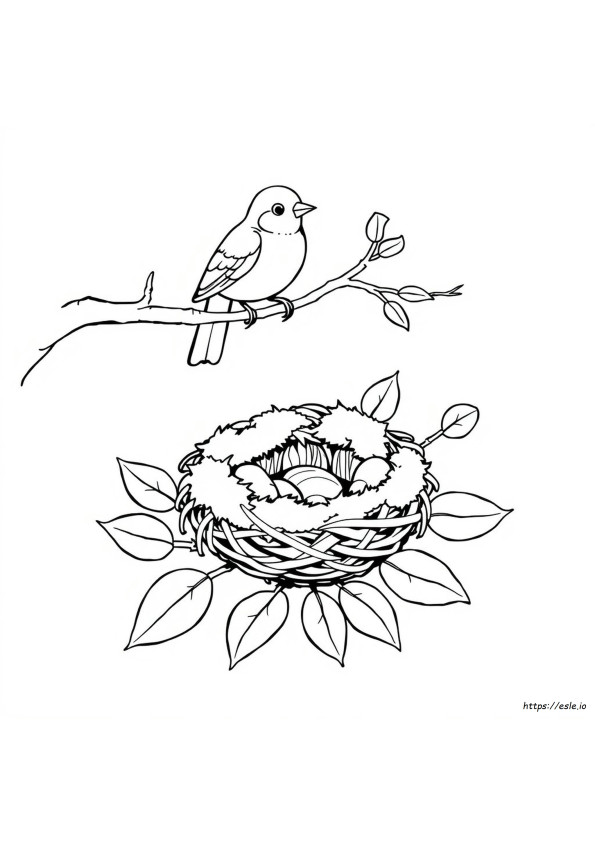 Coloriage Nid D'oiseau