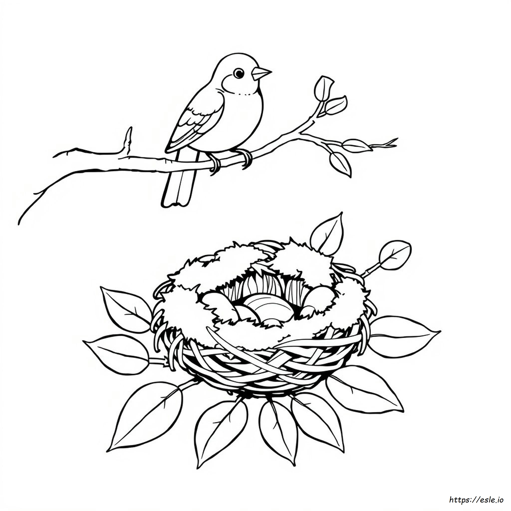Coloriage Nid D'oiseau