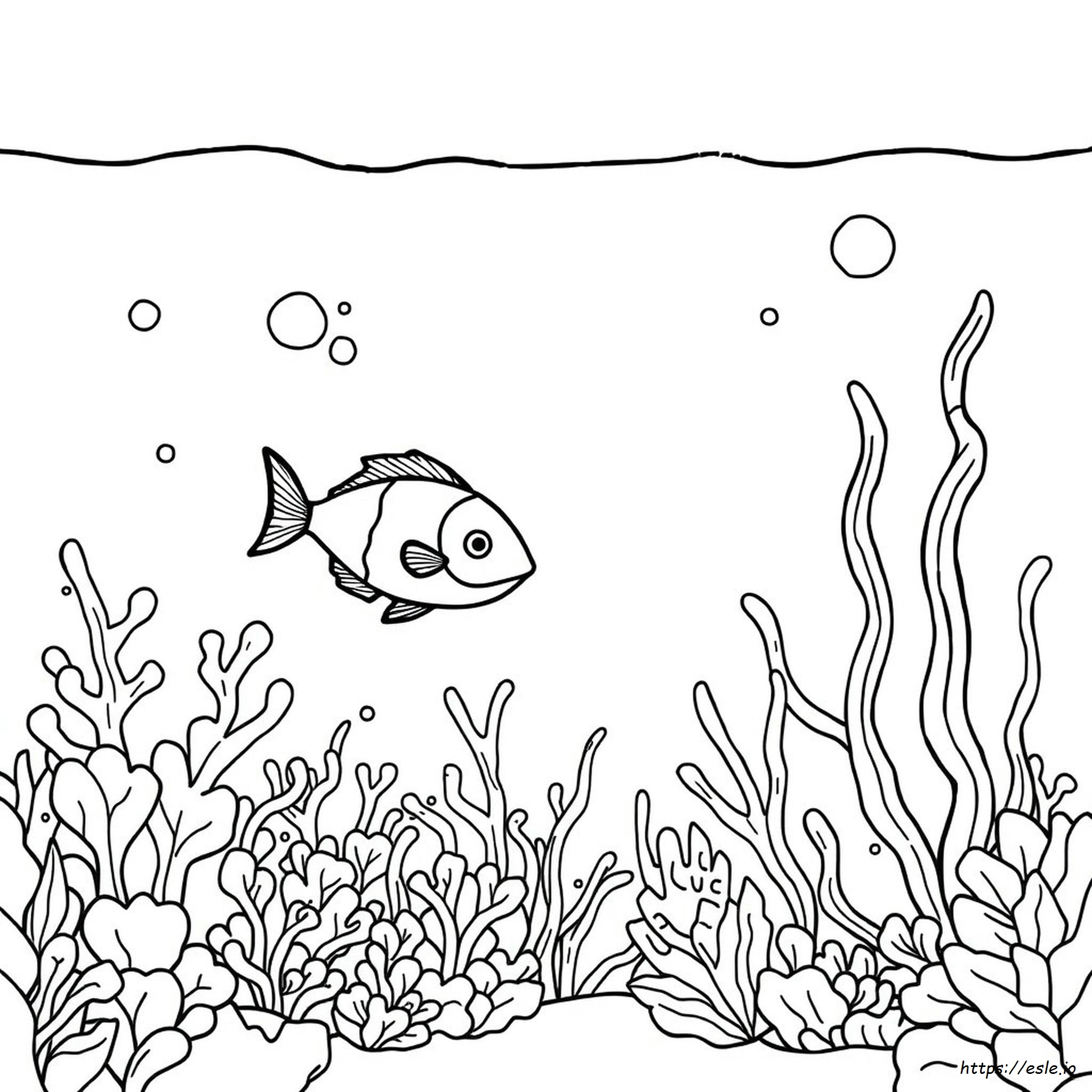 Under The Sea Coloring Pages For Kids
