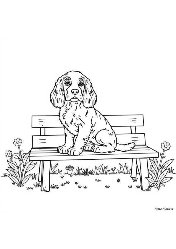 Cocker Spaniel Da Colorare E Stampare