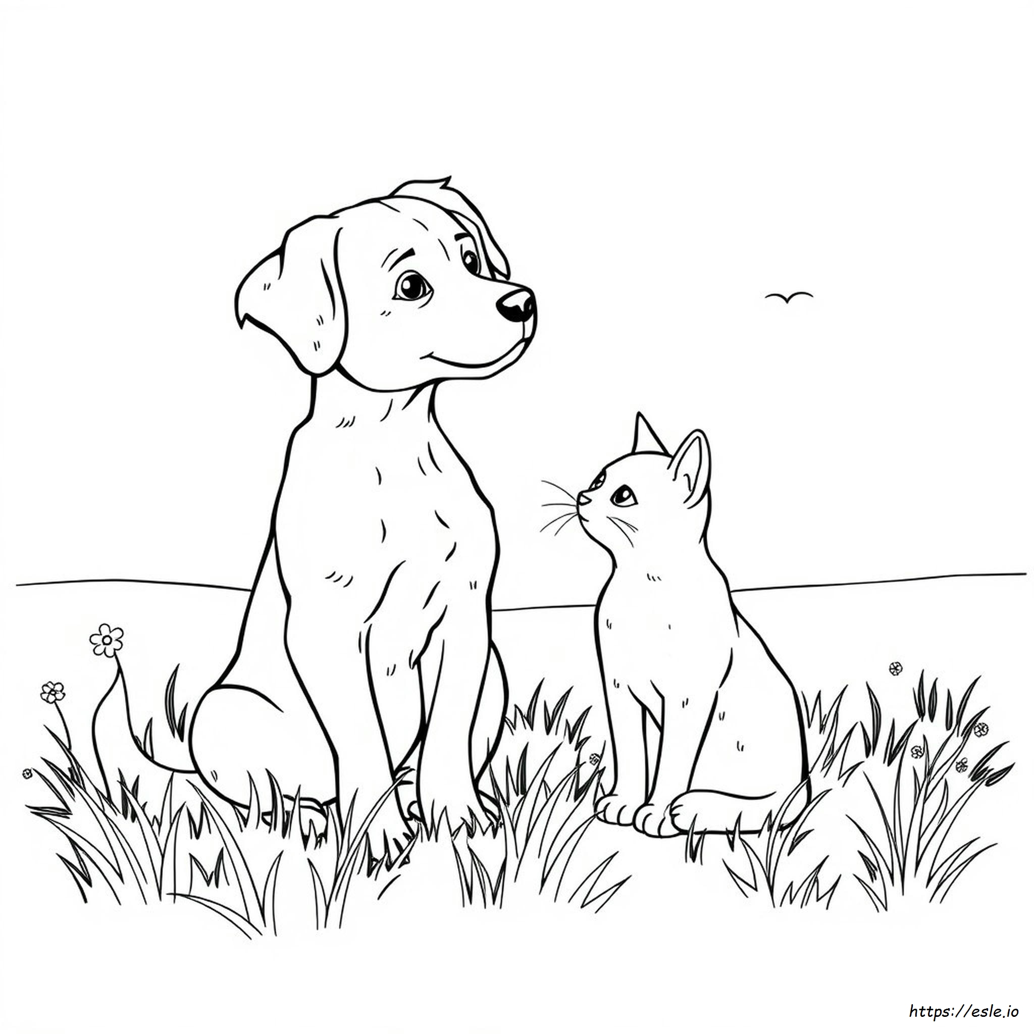 Disegni Realistici Di Cani E Gatti Da Colorare