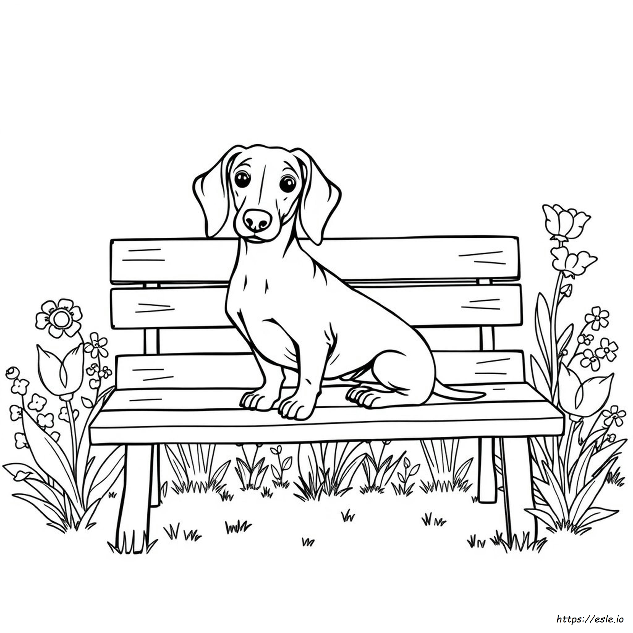 Dachshund Coloring Pages Printable