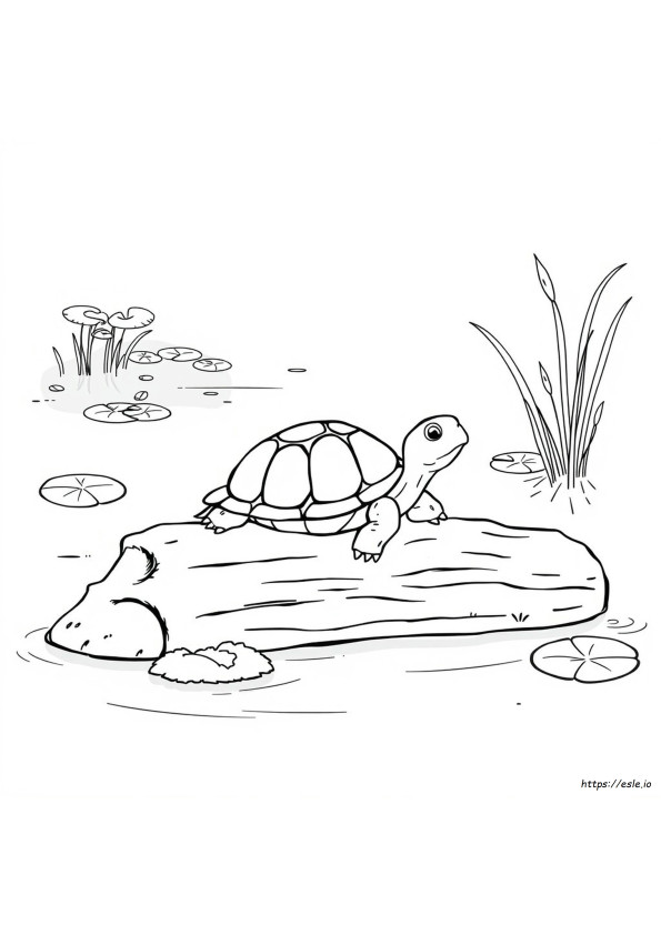 Coloring Pages For Turtles