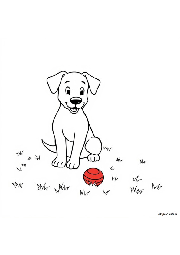 Dog Coloring Oages