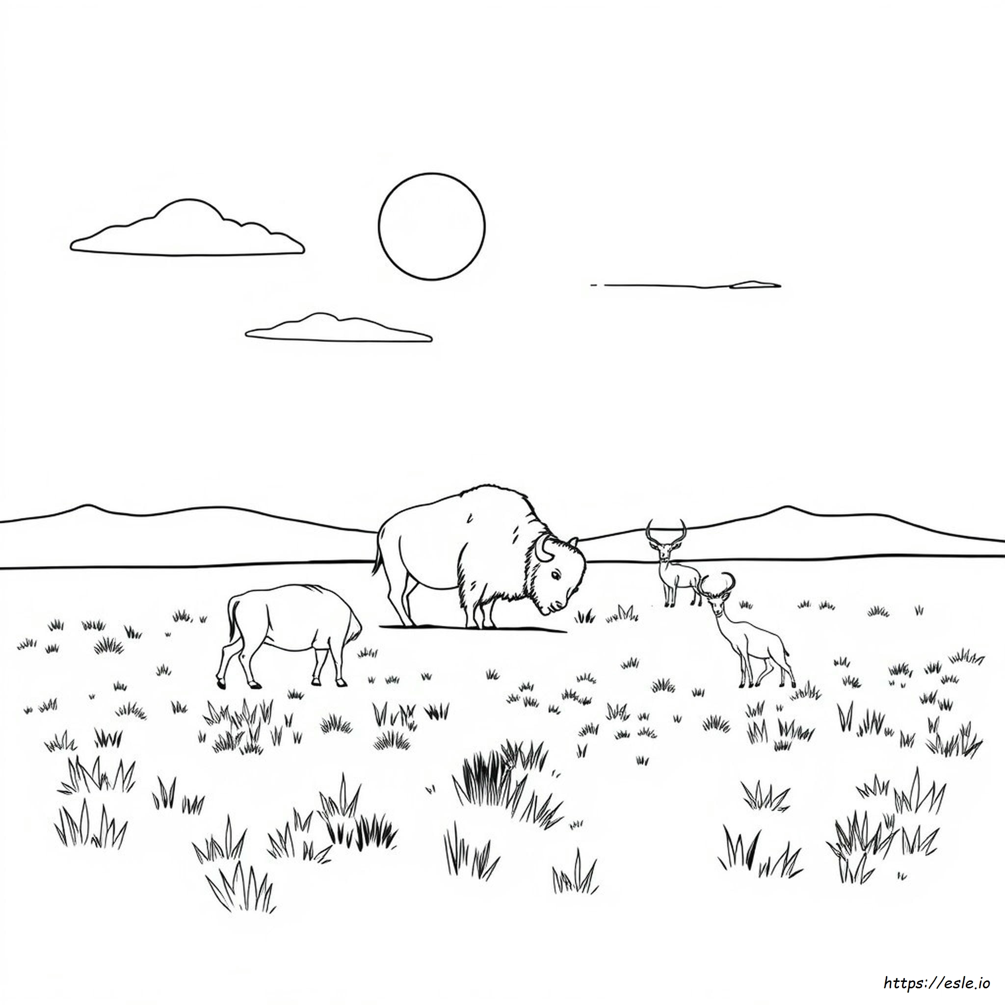 Animali Della Prateria Da Colorare
