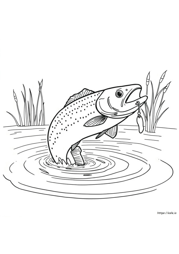 Realistic Trout Coloring Pages