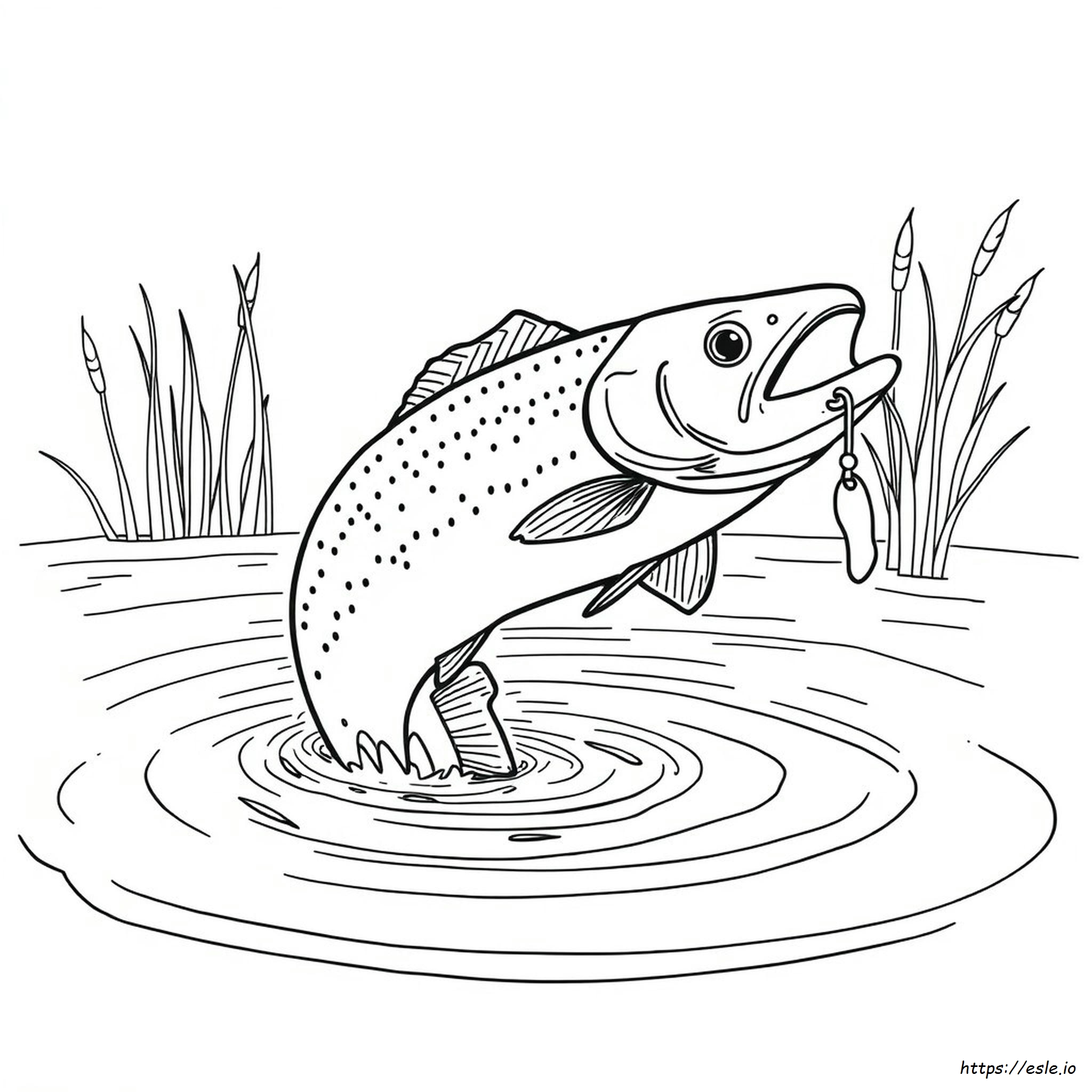 Gambar Mewarnai Ikan Trout Realistis