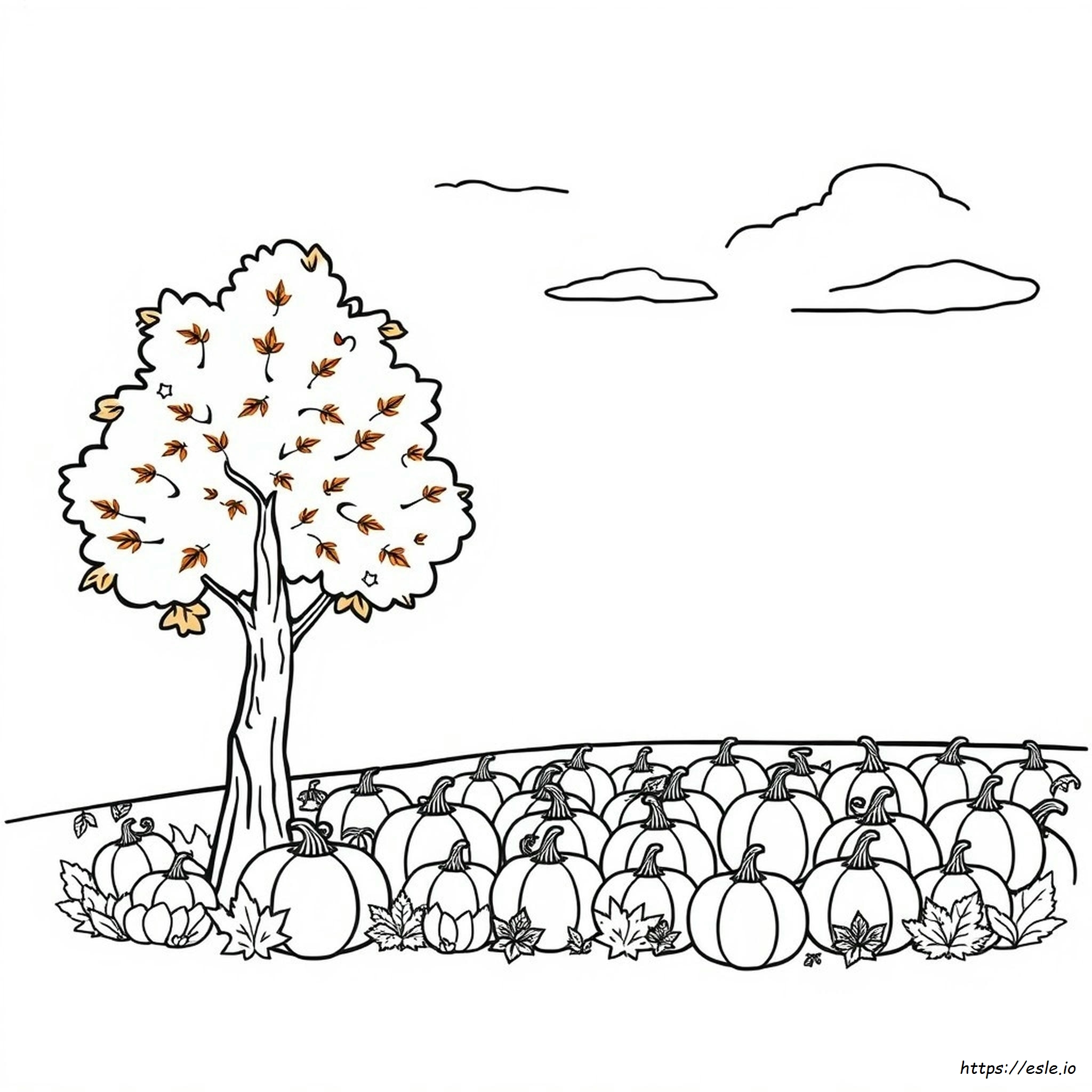 October Coloring Pages Kindergarten