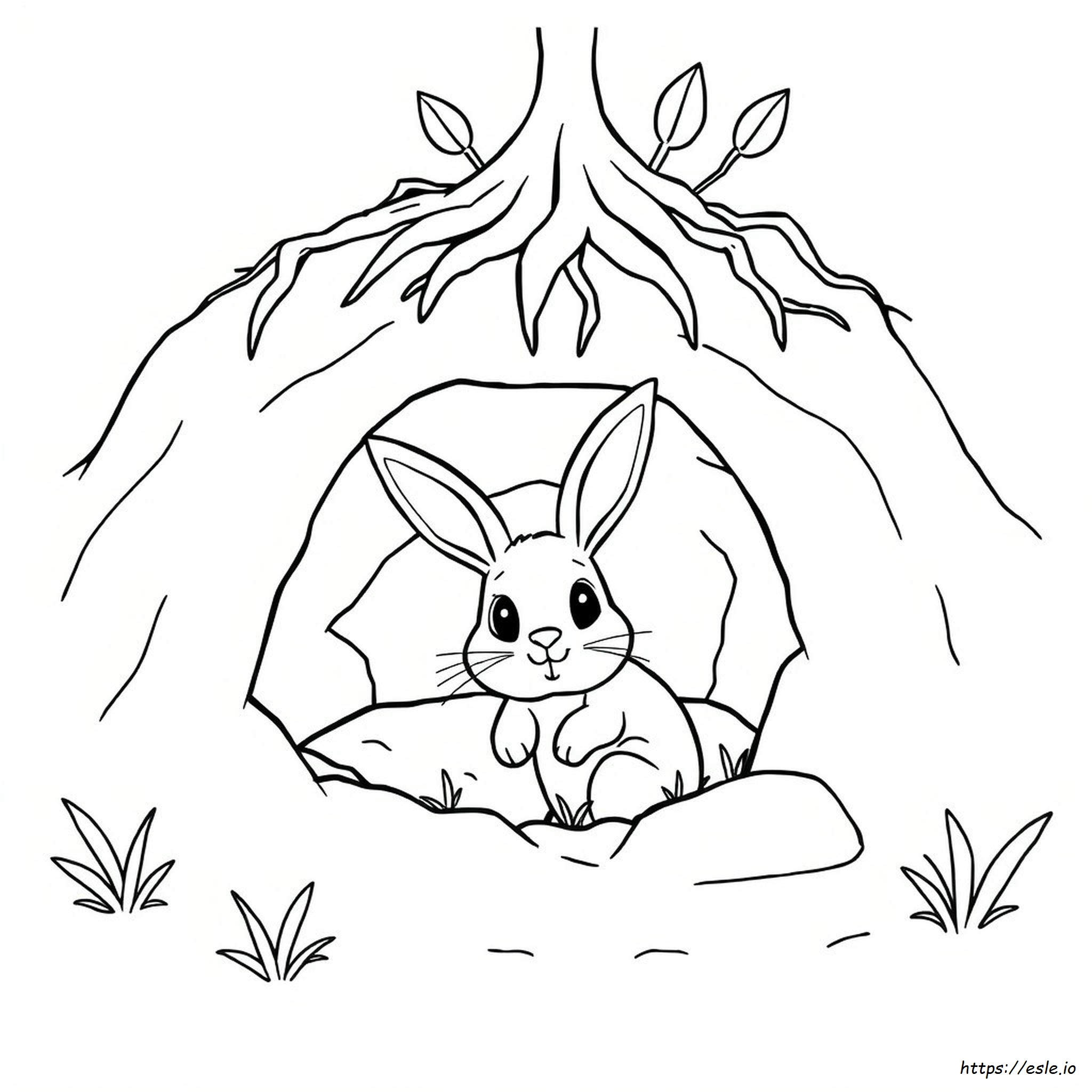 Rabbit Burrow Coloring Page
