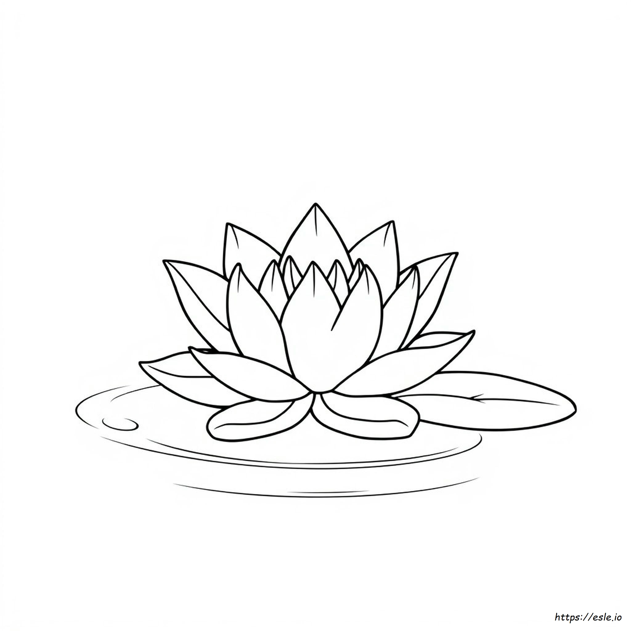 How To Color A Lotus Flower
