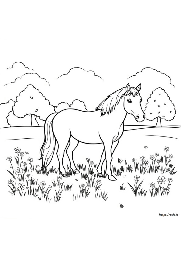 Cavallo Da Colorare E Stampare
