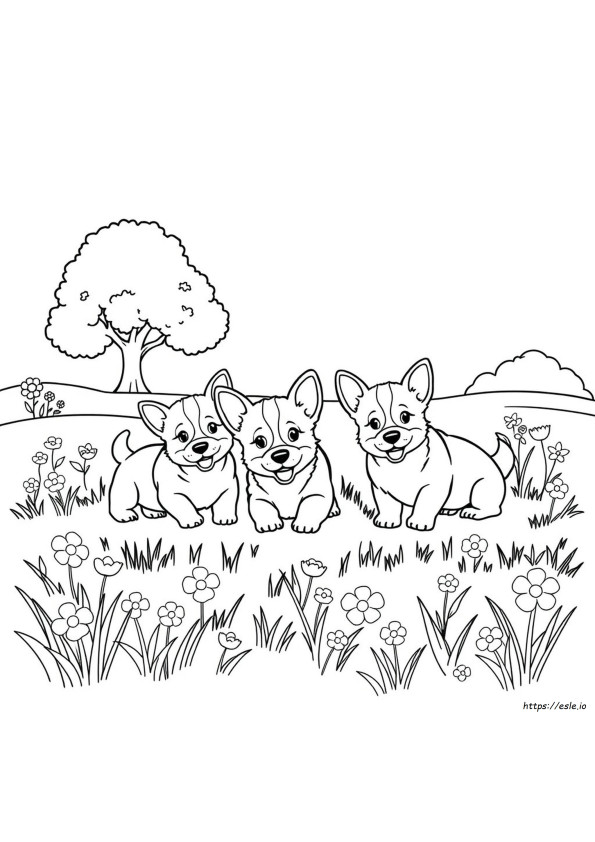 Corgi Yavru Köpek Boyama Sayfaları