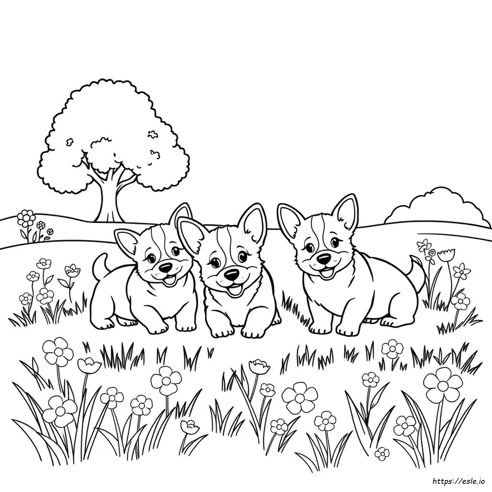 Corgi Puppy Coloring Pages