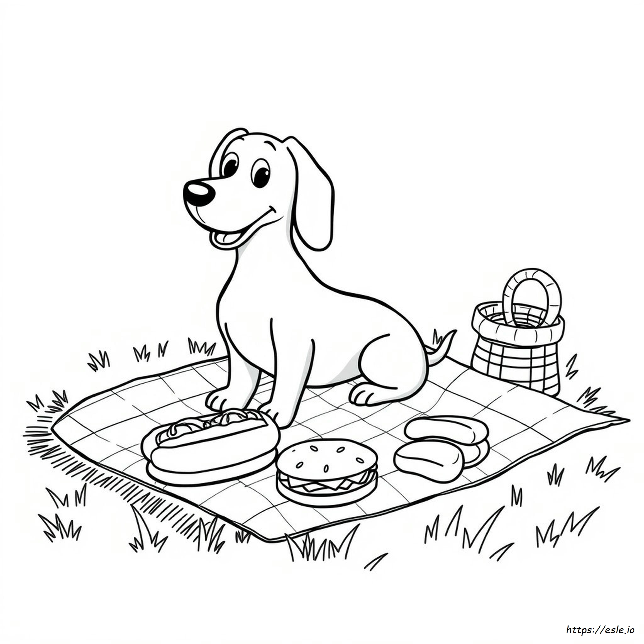 Sausage Dog Colouring Pictures