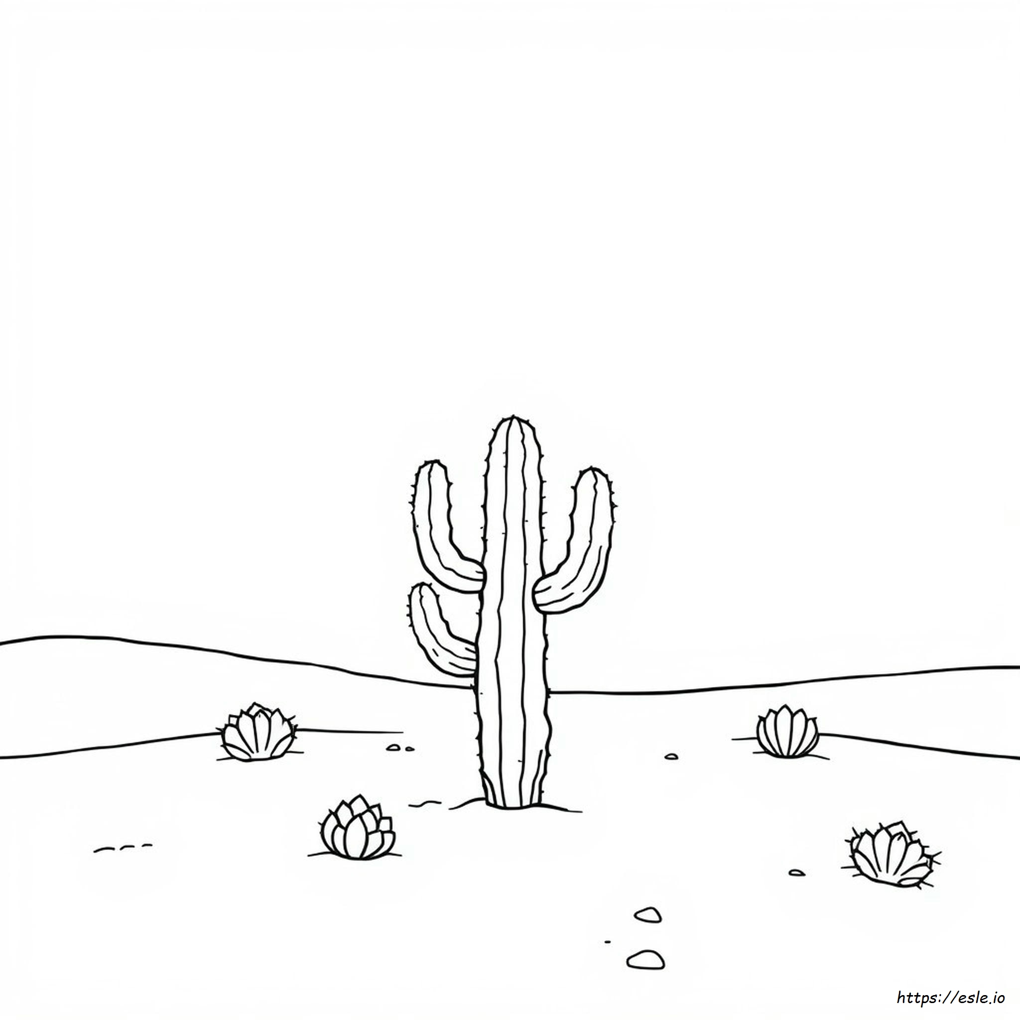 Adult Coloring Pages Cactus