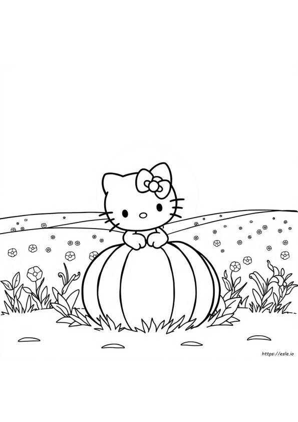 Hello Kitty Zucca Da Colorare